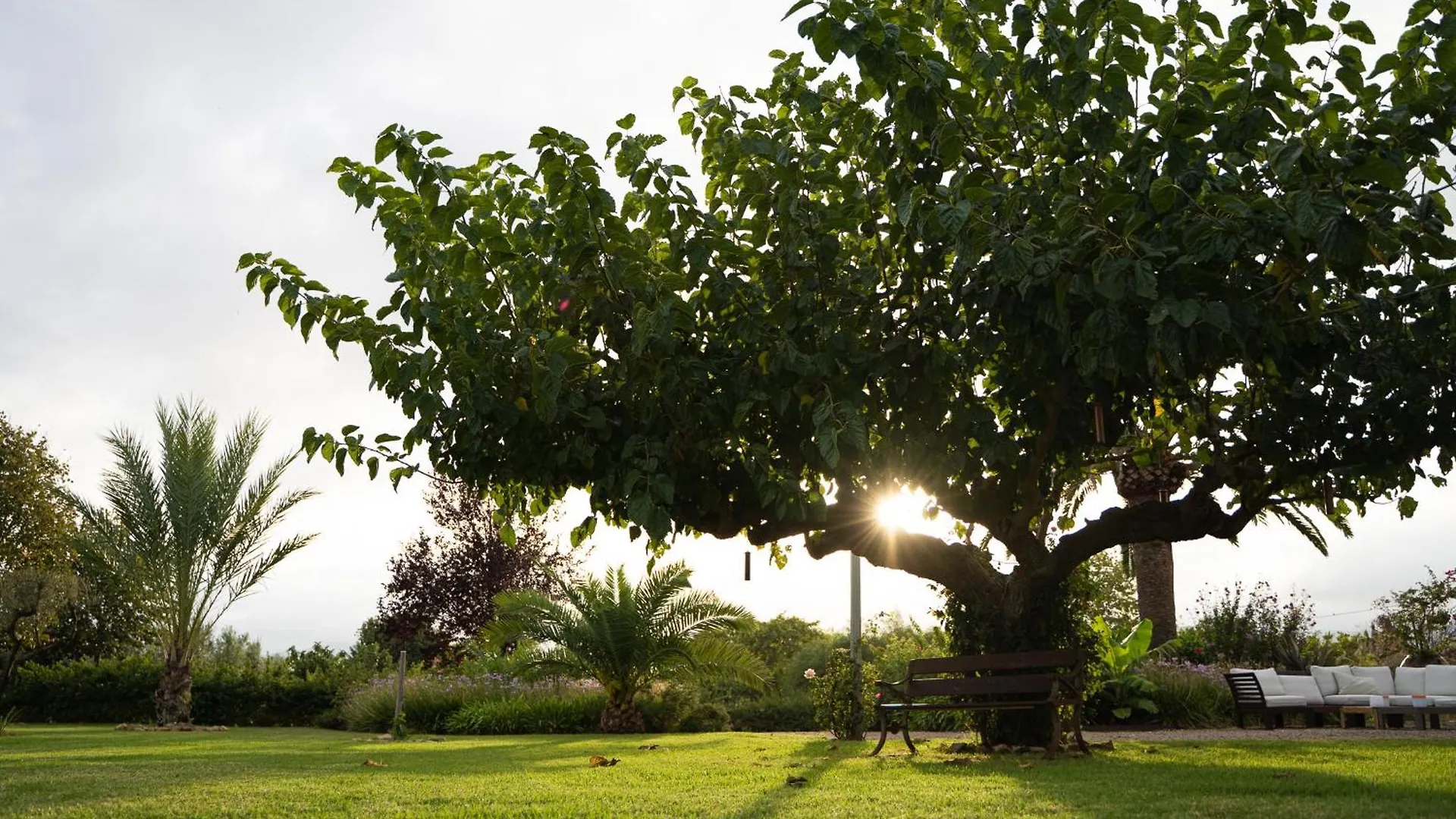 קמברילס Mas Montbrio Belvedere בית כפרי