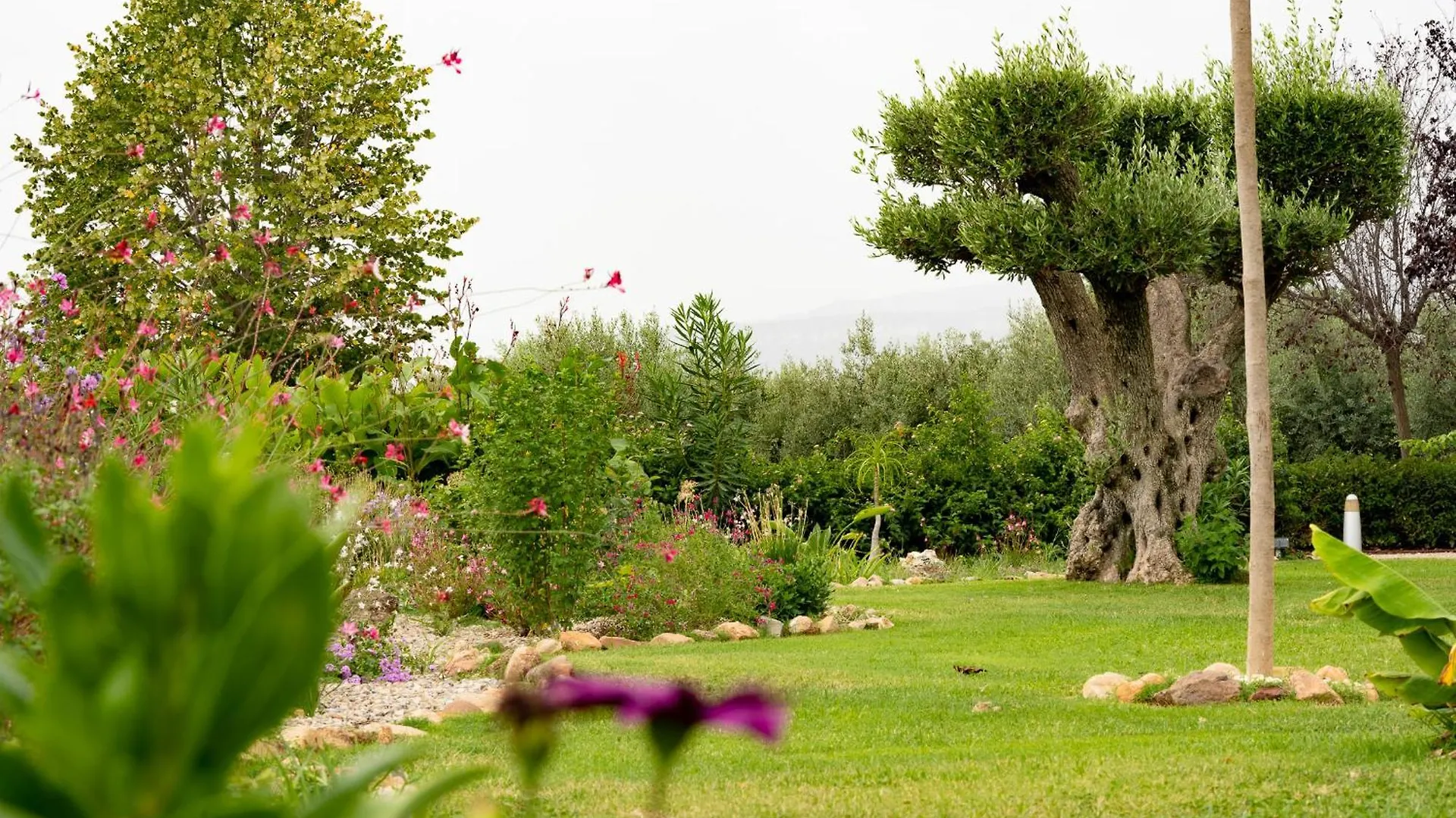 בית כפרי קמברילס Mas Montbrio Belvedere ספרד