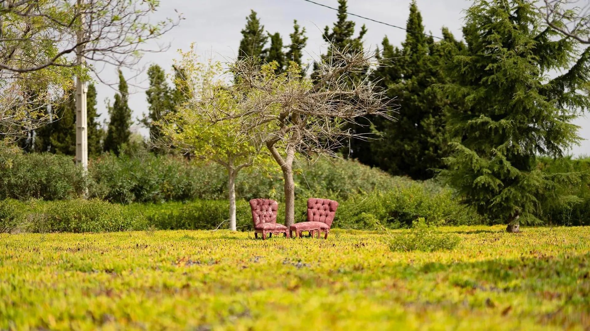 קמברילס Mas Montbrio Belvedere 0*,